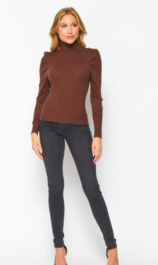 Solid Basic Casual Fitted Turtleneck