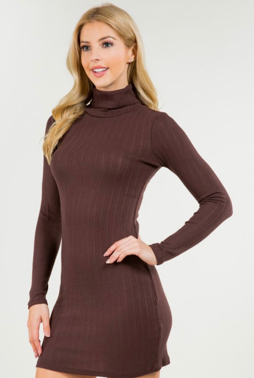 Ribbed Long Sleeved Turtleneck Bodycon Dress