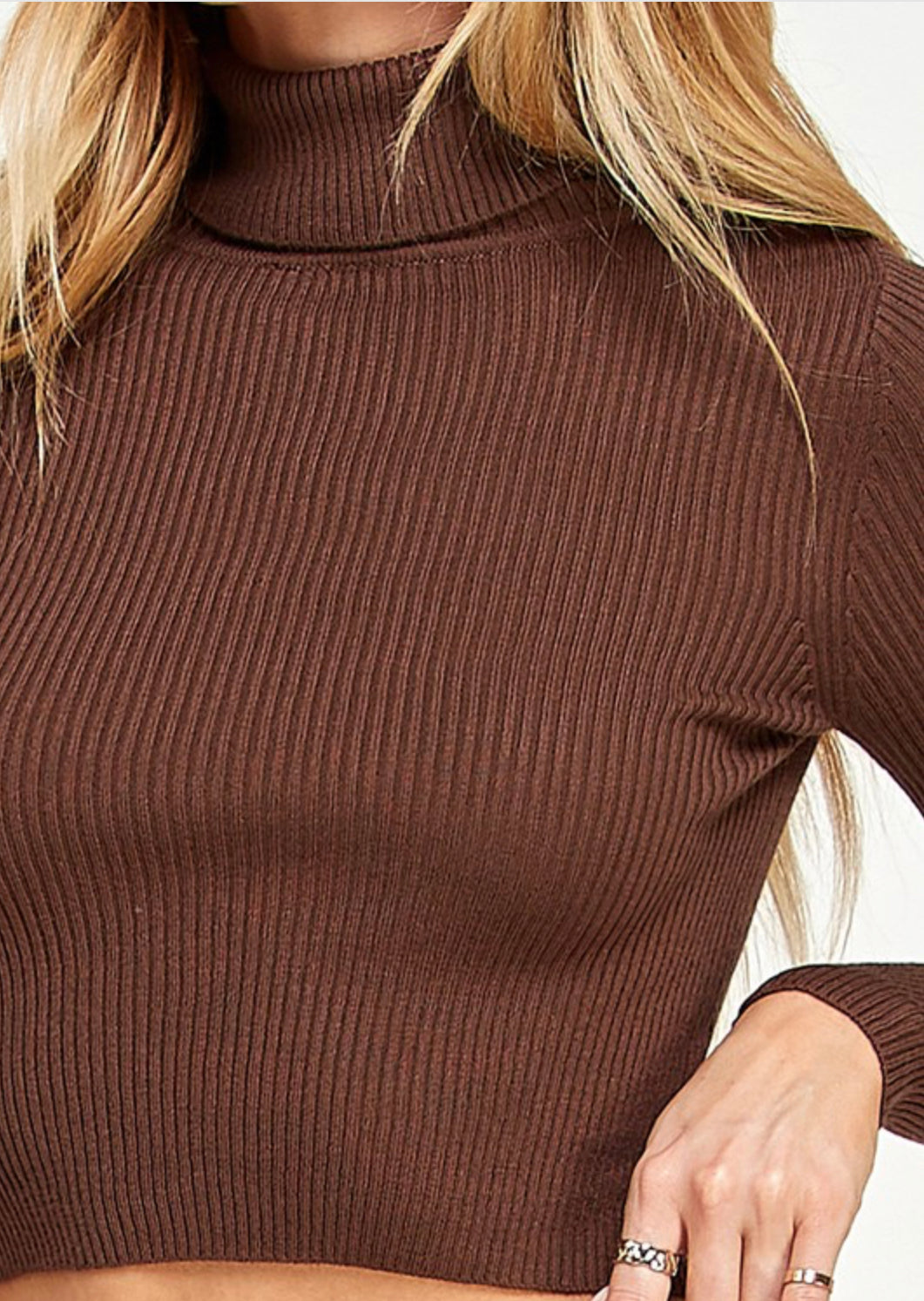 TURTLENECK FINE-GAUGE SWEATER CROPPED TOP