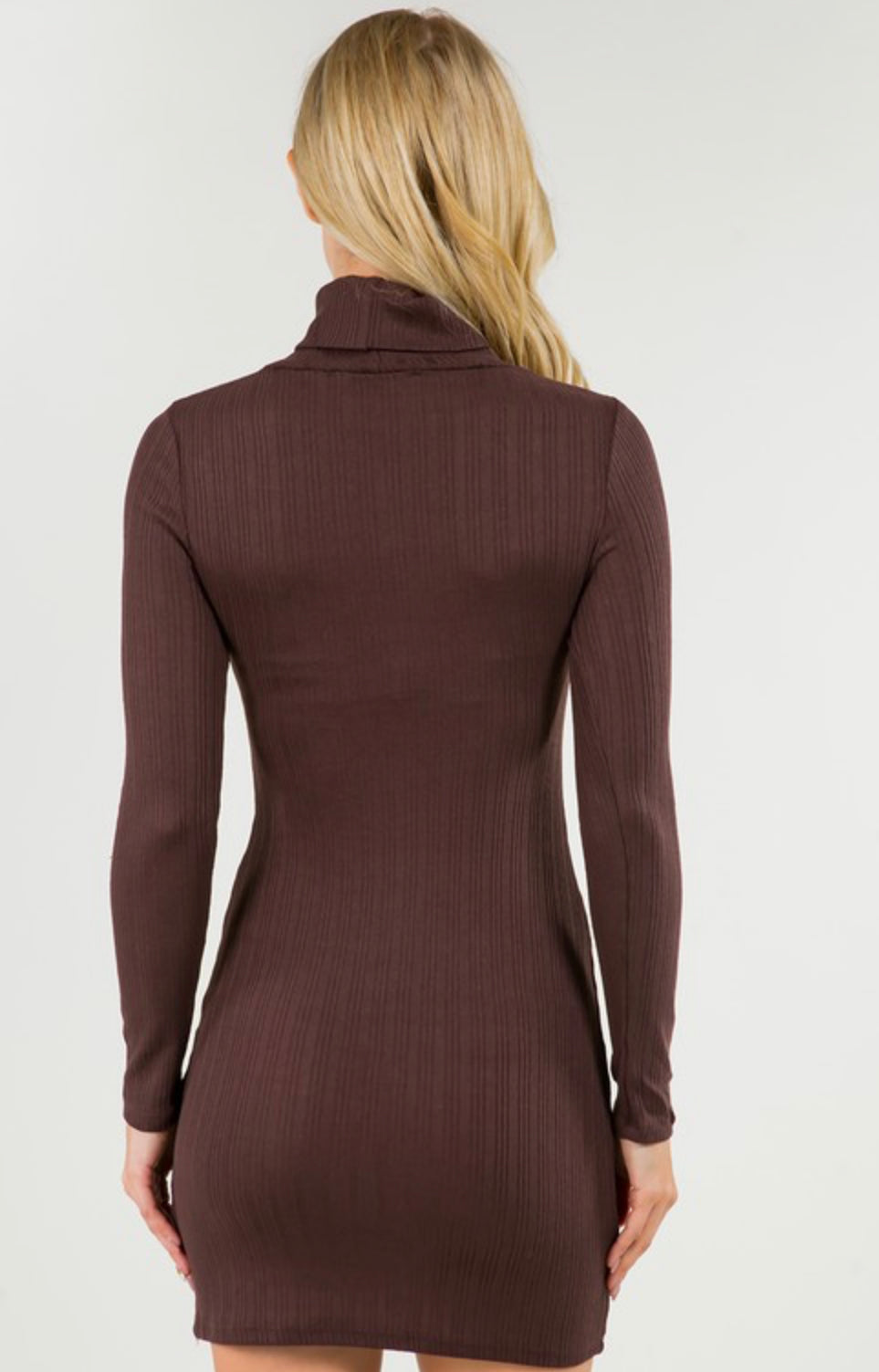 Ribbed Long Sleeved Turtleneck Bodycon Dress