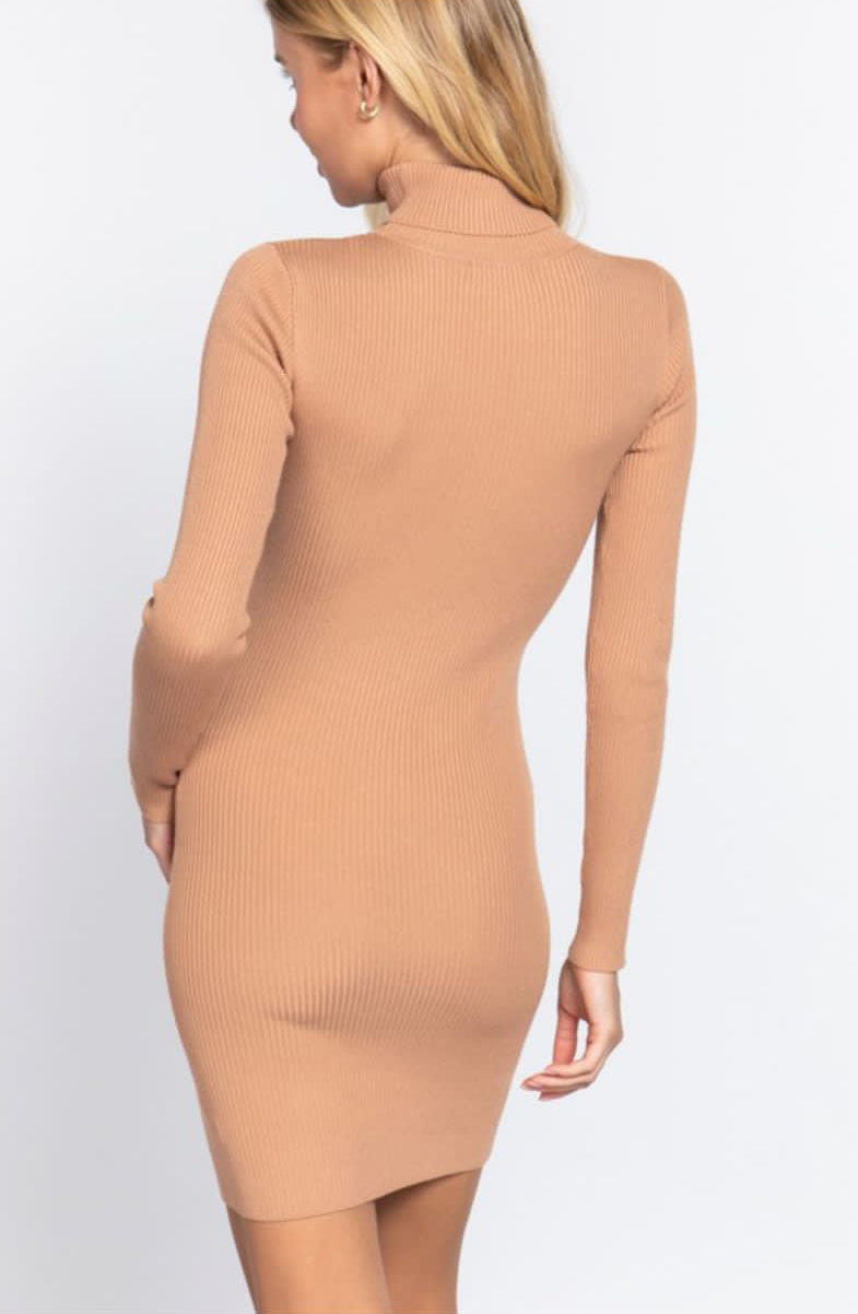 Turtle Neck Dress