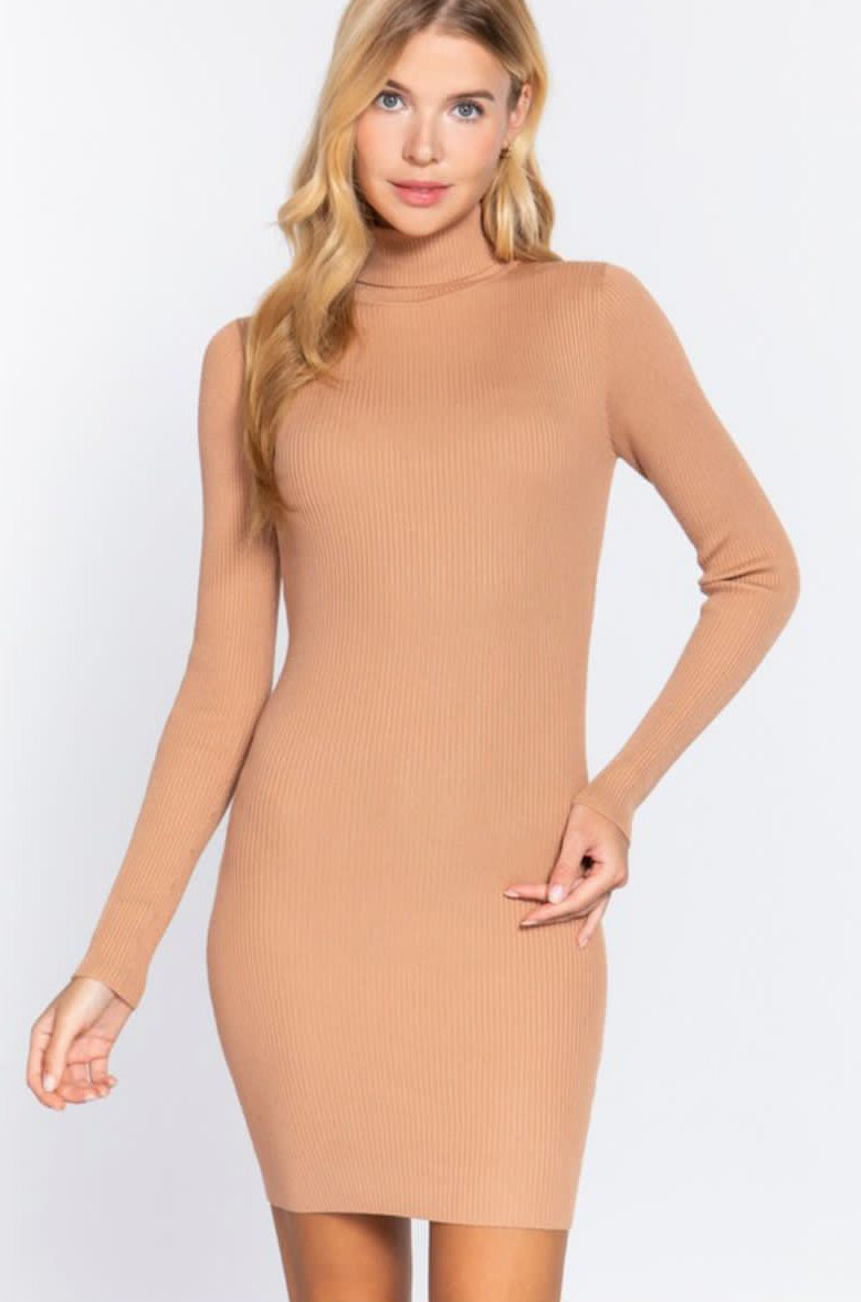 Turtle Neck Dress